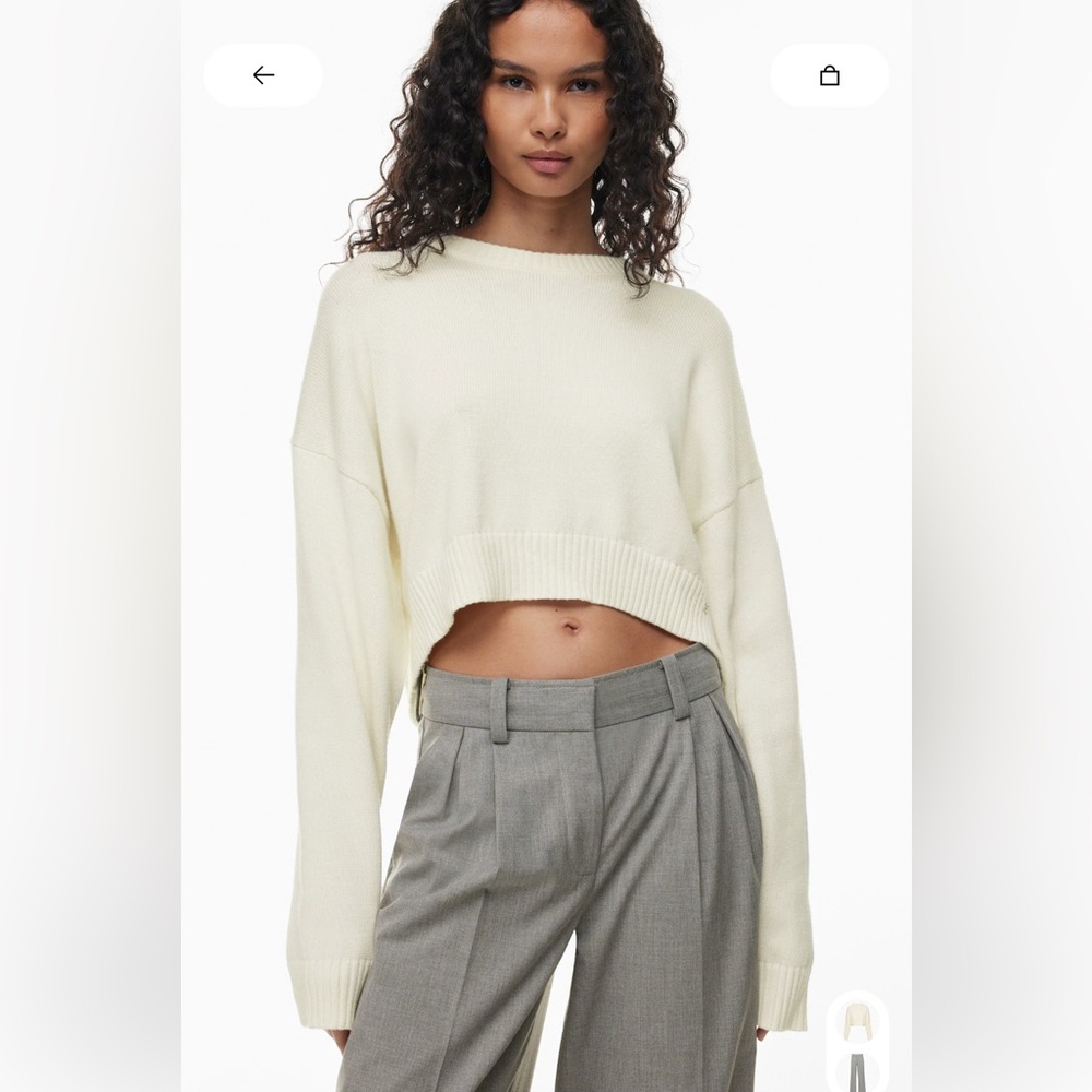 Aritzia Sunday Best Cropped Sweater
